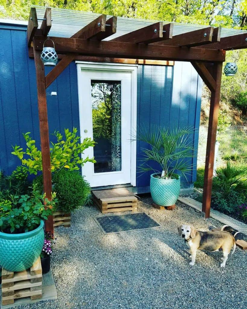 A small blue house with a wooden pergola, potted plants, and a dog standing on gravel near the entrance