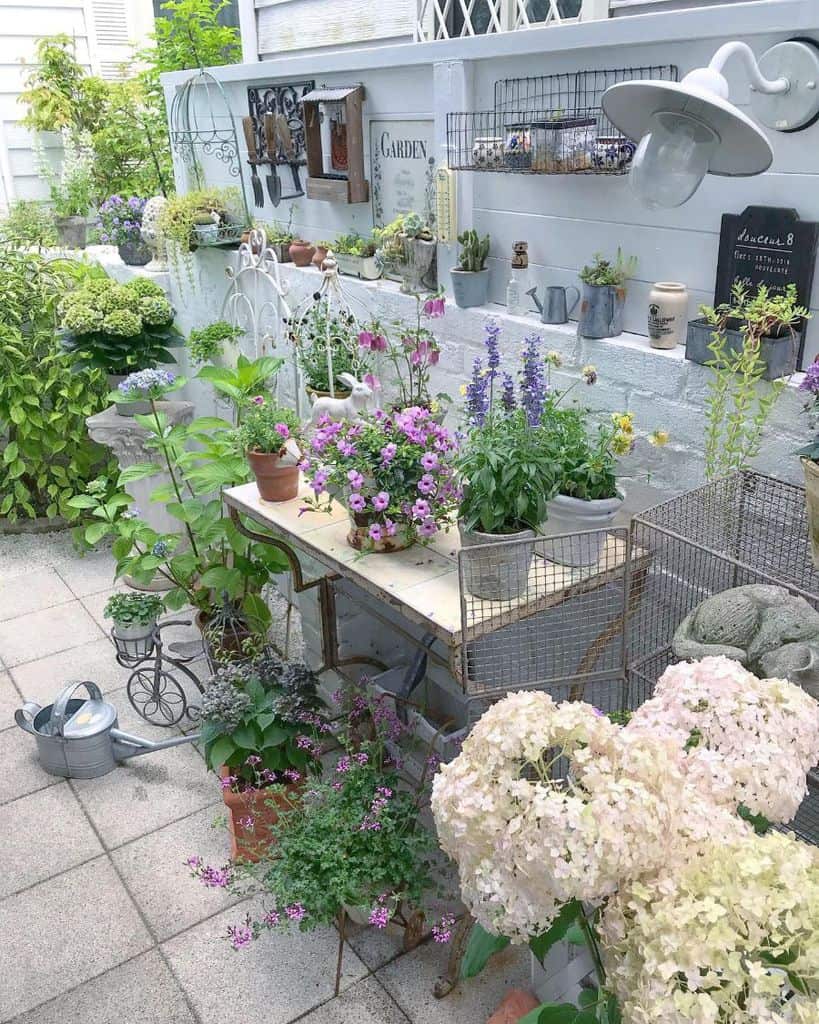 Charming garden with various potted plants on a patio. Vintage decor and a watering can add a rustic touch to the scene
