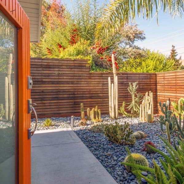 Desert-themed backyard with cacti and succulents surrounded by river rocks, highlighted by a wooden fence and vibrant plants