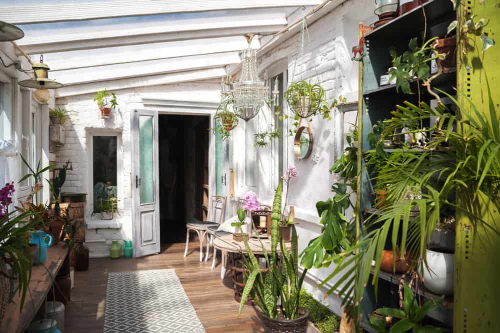 backyard enclosed patio wood decking lots of plants 