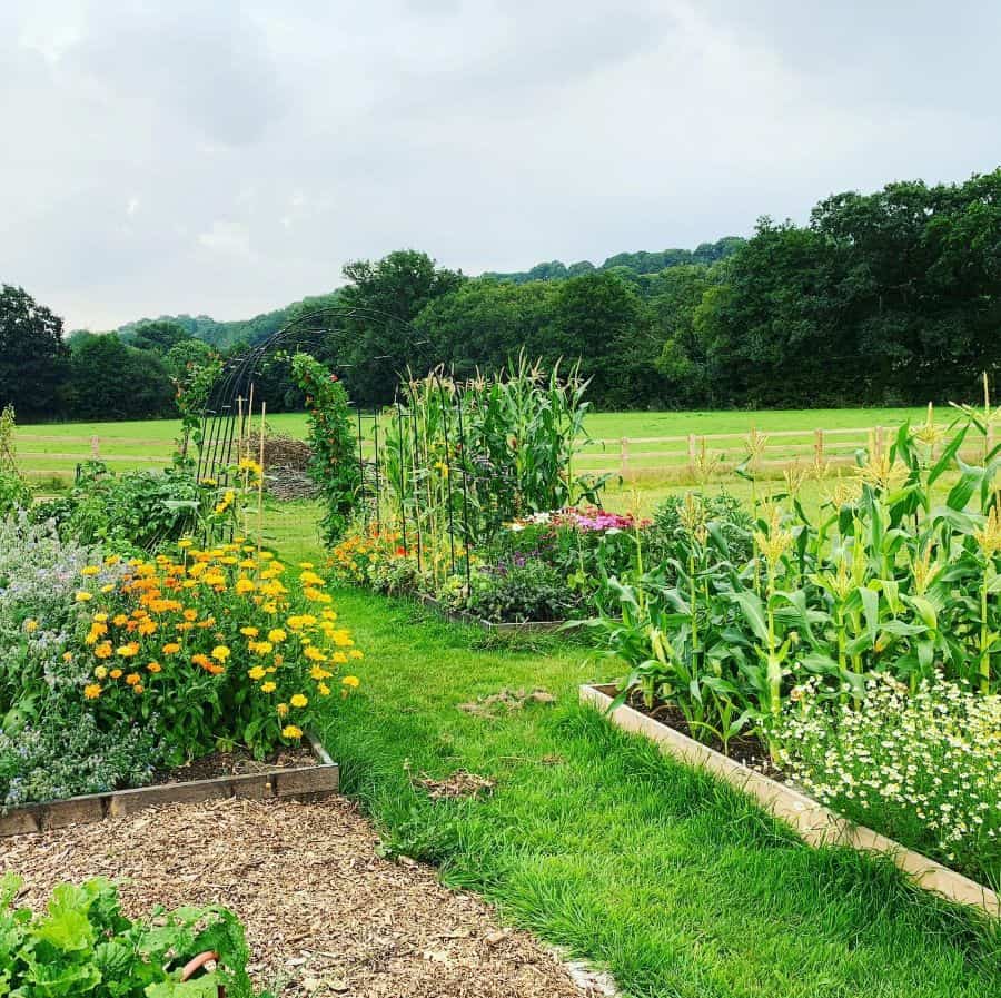 backyard farm raised garden bed 