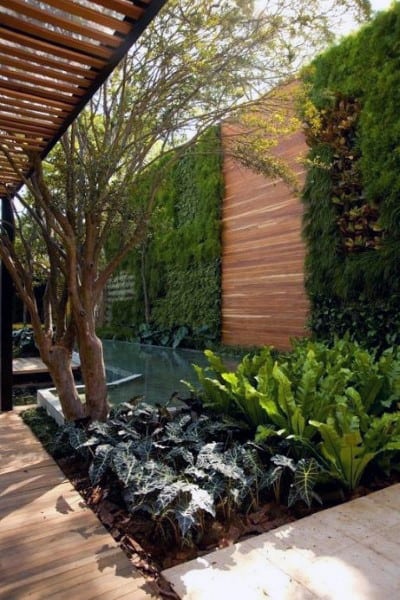 Enclosed backyard with a horizontal wooden fence, vertical garden wall, and lush greenery.