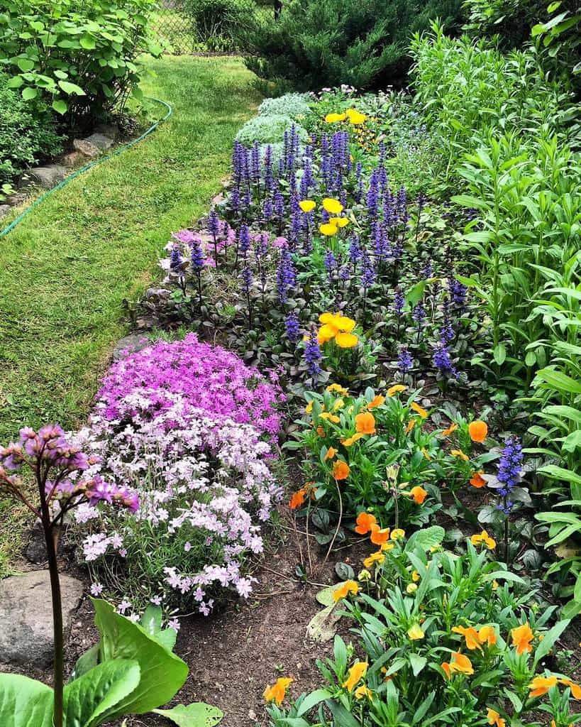 backyard colorful garden flower bed