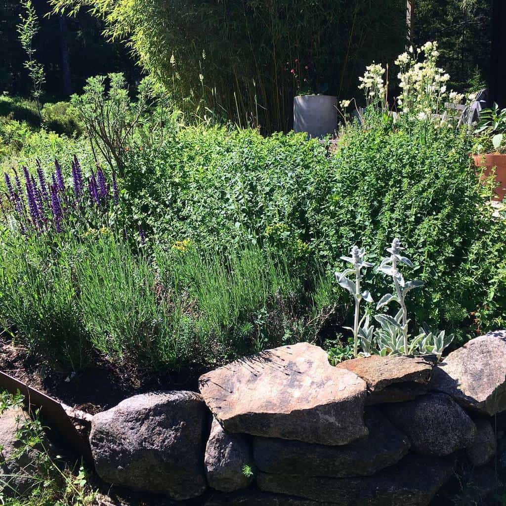 backyard herb garden ideas