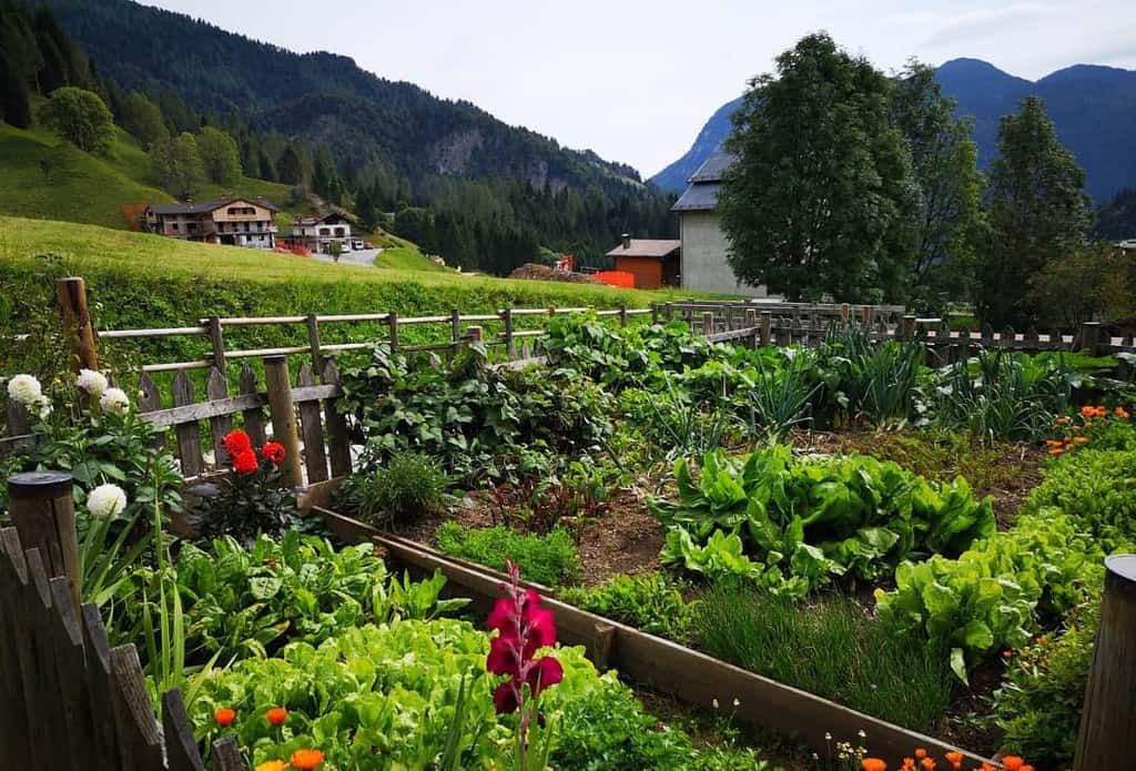 large country herb garden