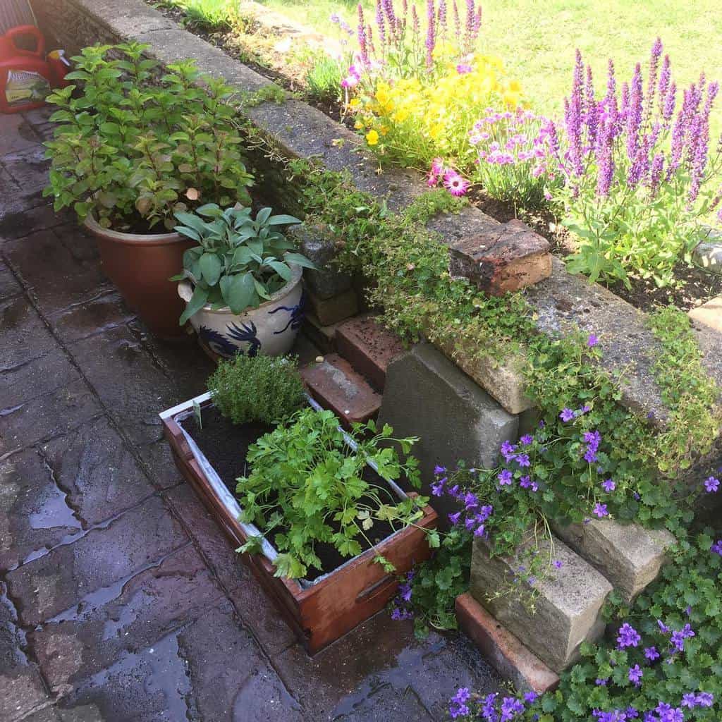 small herb garden planter box