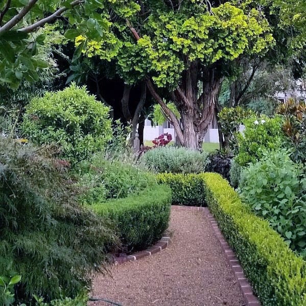 hedge-lined walkway