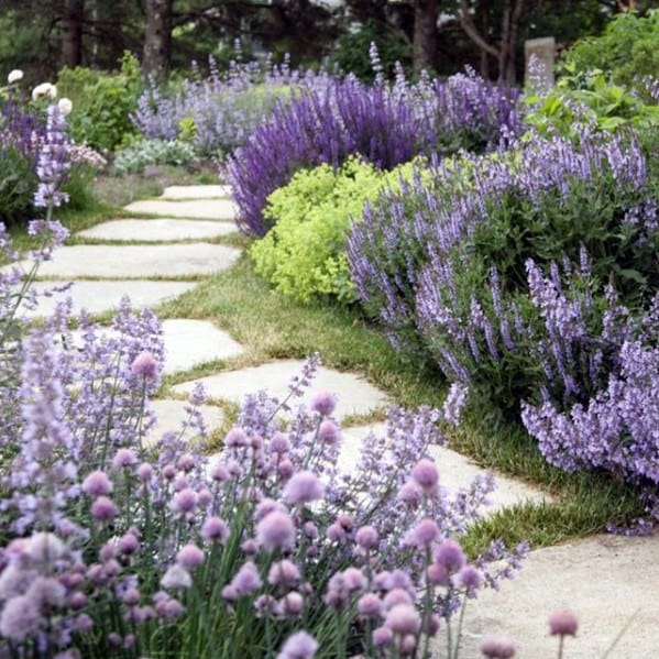 Backyard Stone Walkway Ideas With Purple Flower Plants