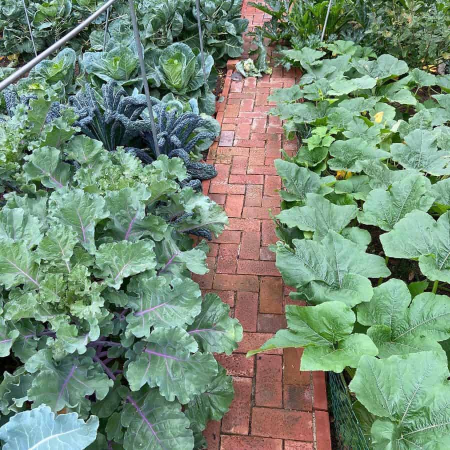 brick path through vegetable garden