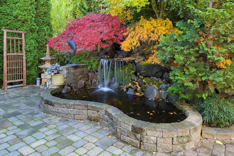 backyard pond and waterfall