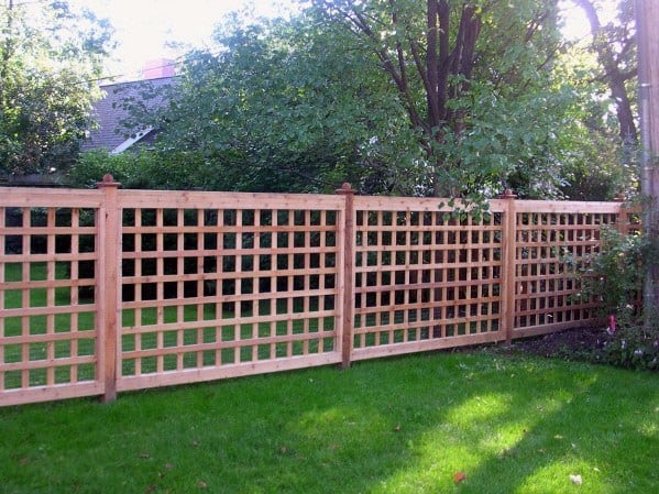 A wooden lattice fence adorns the sunny garden, surrounded by lush green grass and vibrant trees