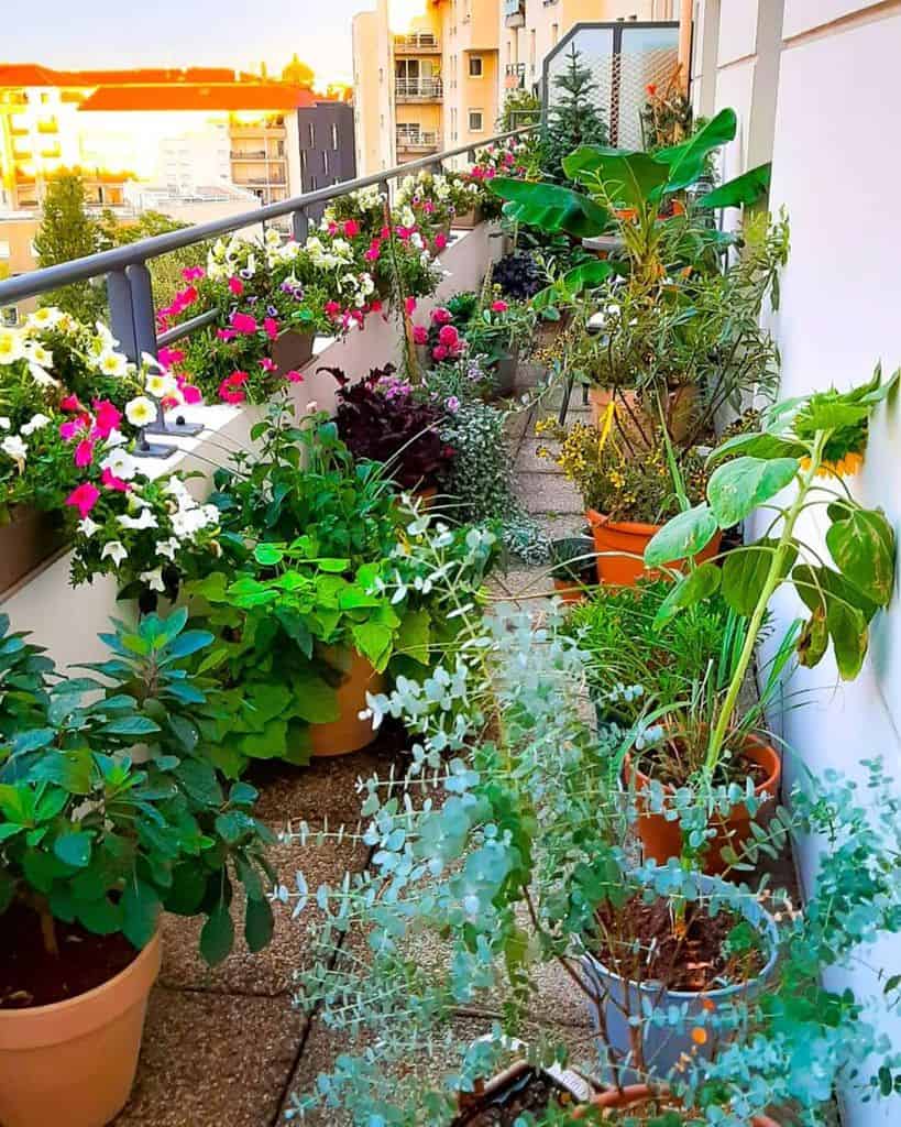 A balcony garden filled with various potted plants and colorful flowers under a bright sky, with buildings in the background