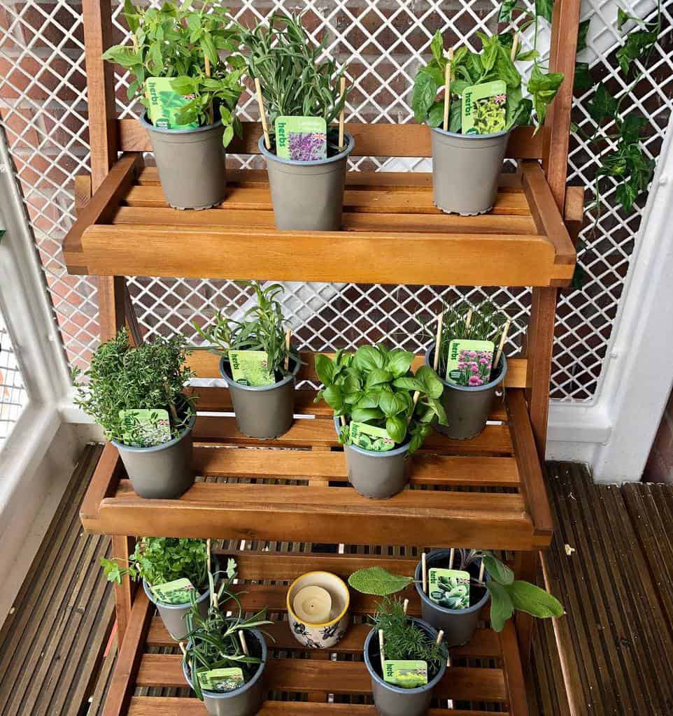 pot plant herb garden vertical stand
