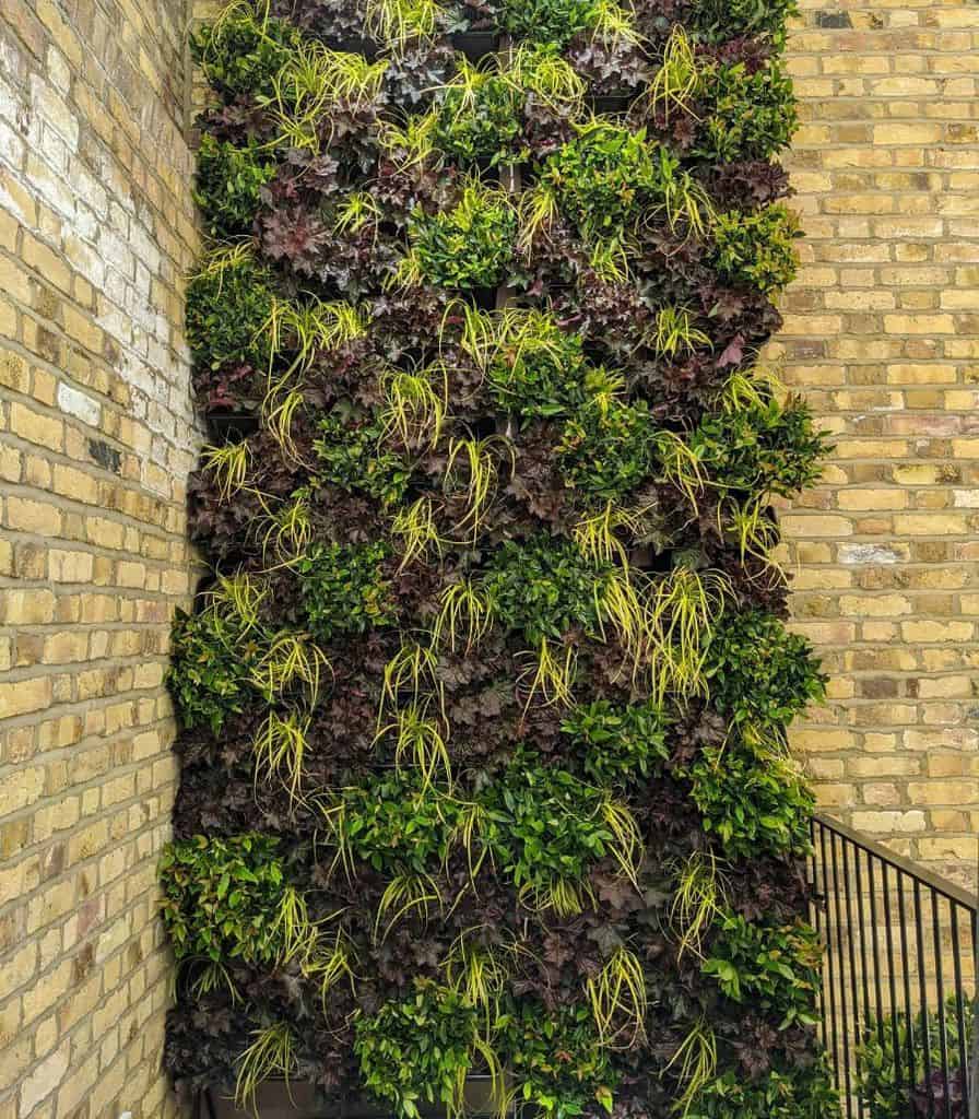 balcony vertical garden brick wall