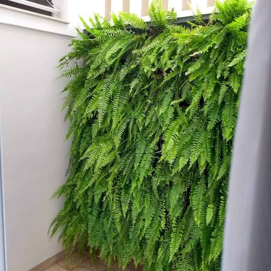 balcony vertical garden ideas cesaraguiar_jardinsverticais