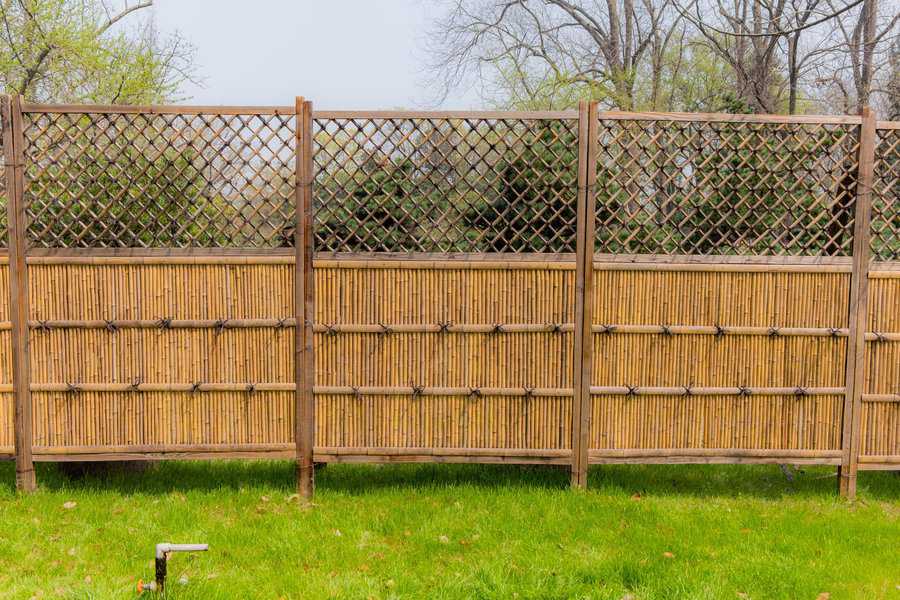 Bamboo privacy fence with lattice design, set in a grassy backyard area.