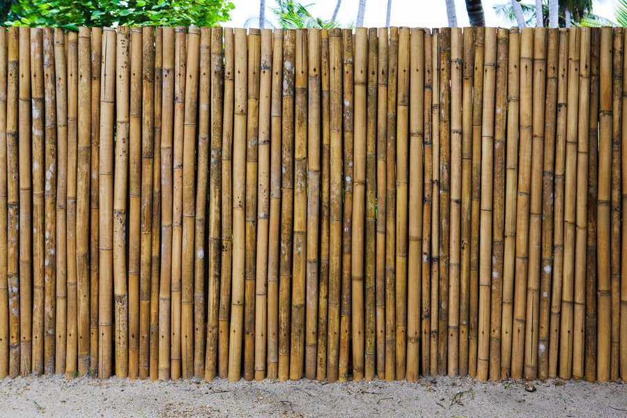 Rustic bamboo privacy fence creating a natural and tropical ambiance in an outdoor garden setting.