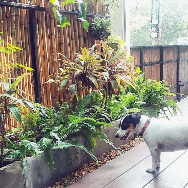Bamboo fence with wooden frame in a patio garden featuring lush greenery and potted plants.