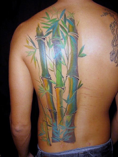 Bamboo Half Of Back Tattoos For Men