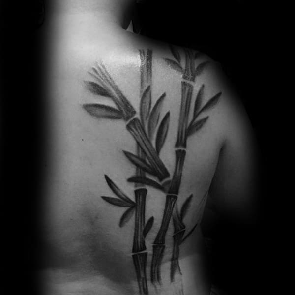 Bamboo Tattoo On Mans Back With Shaded Black Ink