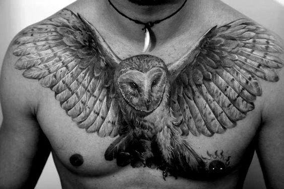Barn Owl Wings Mens Upper Chest Tattoo