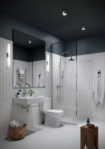 Minimalist bathroom with dark painted ceiling, white subway tile walls, and glass shower enclosure.