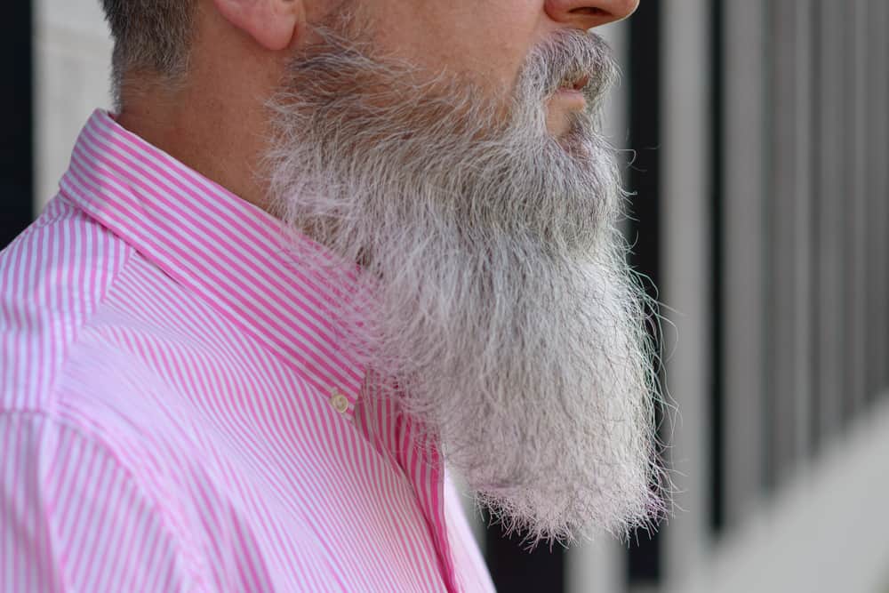 close up side view of long bearded grey haired man
