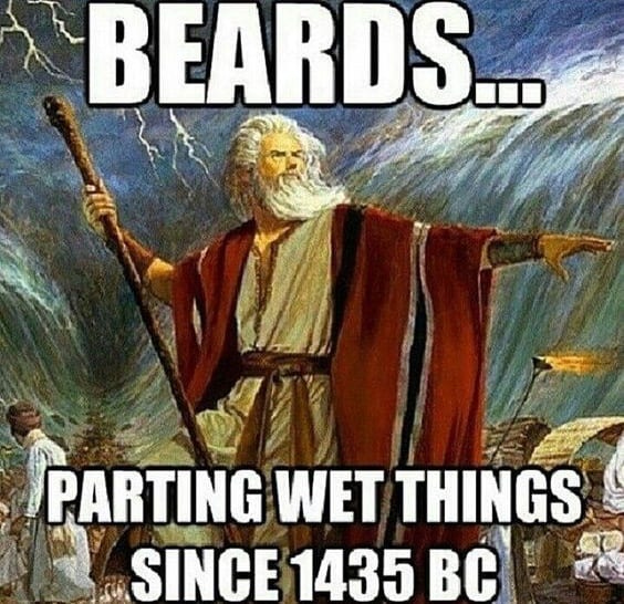 Beards Parting Wet Things Since 1435 Bc Beard Memes