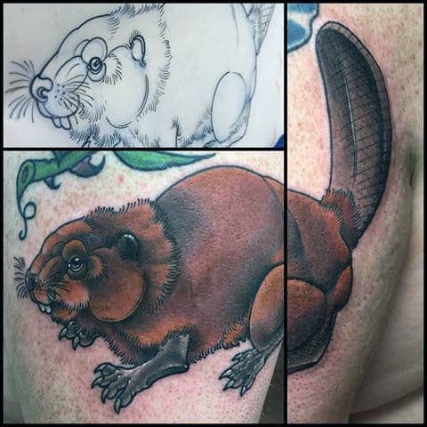 Realistic beaver tattoo with detailed fur texture and large tail, shown alongside the original sketch and outline.