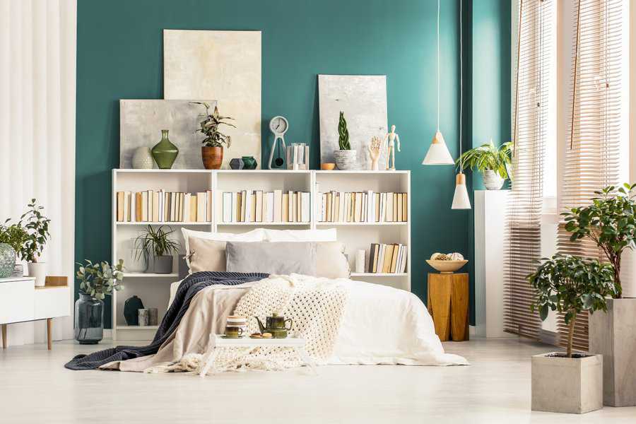 Cozy bedroom with a teal accent wall, white bedding, and bookshelves surrounded by green plants and lit by natural light through large windows with blinds
