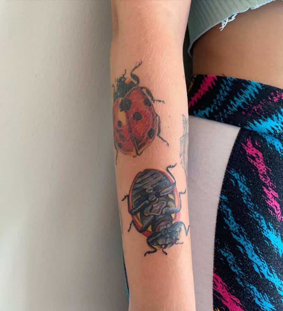 Realistic insect tattoo featuring a detailed ladybug and beetle, showcasing bold colors and fine shading for a lifelike, nature-inspired design.
