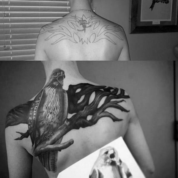 Bird On Tree Branch Cover Up Upper Back Tattoos For Men
