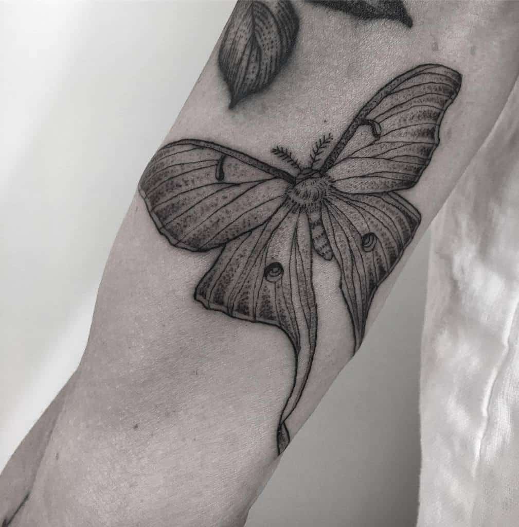 A black and grey linework tattoo of a Luna Moth, featuring detailed wing patterns