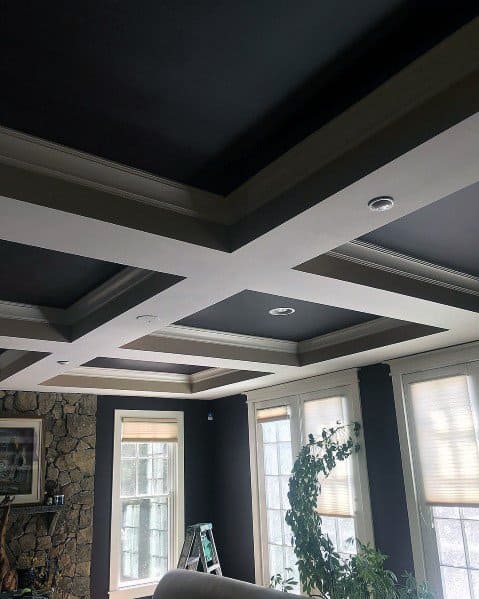 Black And Grey Coffered Ceiling Ideas