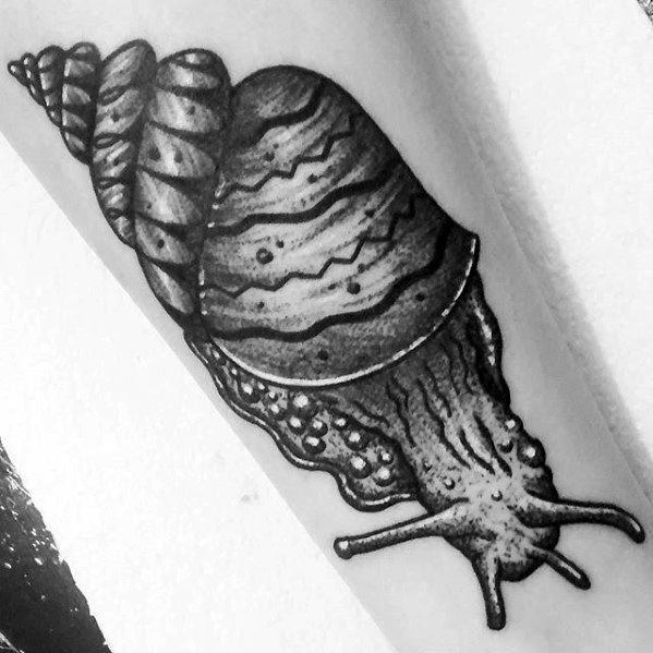 Black And Grey Ink Forearm Snail Tattoo Ideas For Males