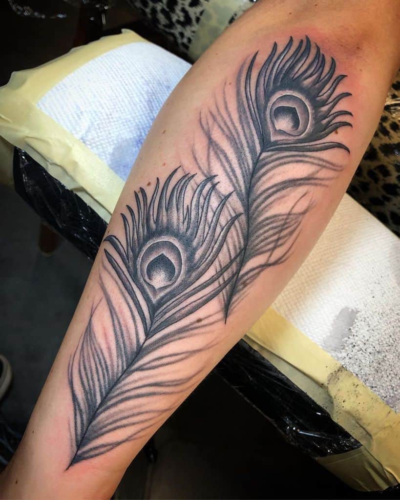 Black and grey forearm tattoo featuring two peacock feathers with fine shading, soft gradients, and intricate linework for a realistic effect.