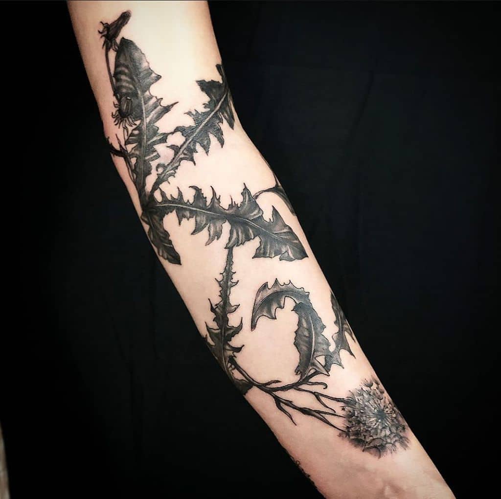 A detailed black dandelion tattoo on the forearm, with the flower and leaves intricately covering the arm in bold, realistic ink.