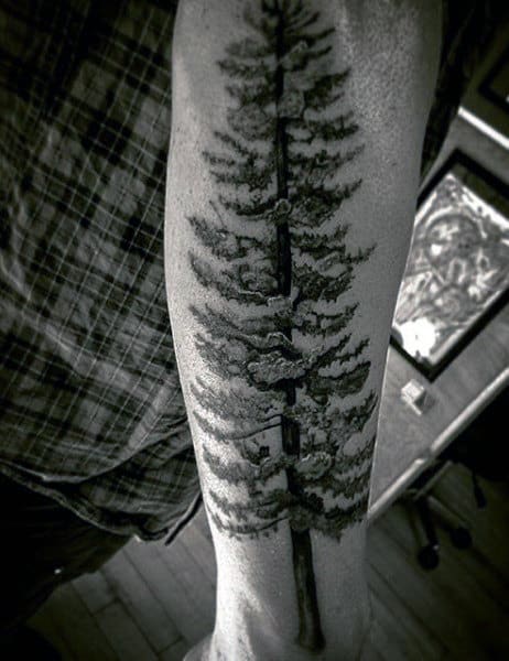 Forearm tattoo of a detailed, tall pine tree in black and white