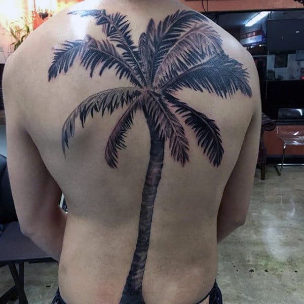 Black Large Leaved Palm Tree Tattoo For Men On Whole Back