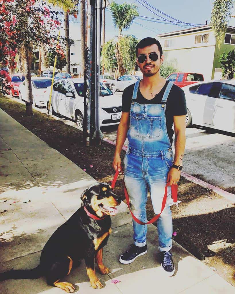 Black Shirt Mens Overall