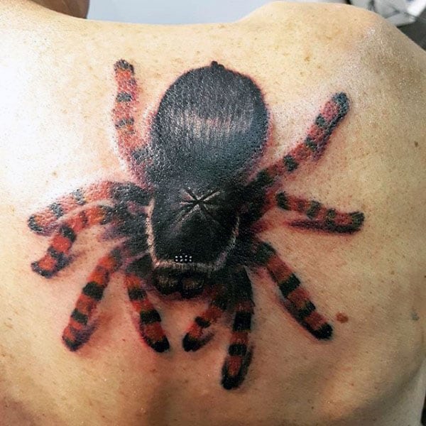 Black Tarantula With Red Stripes Mens Shoulder Tattoos
