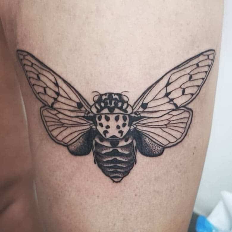 Tattoo of a detailed cicada on a skin