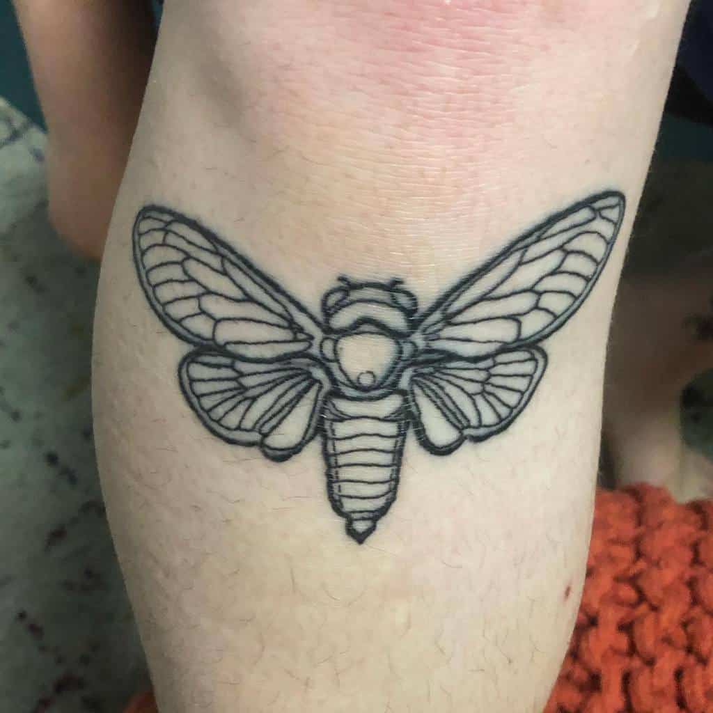 A detailed cicada tattoo on a calf