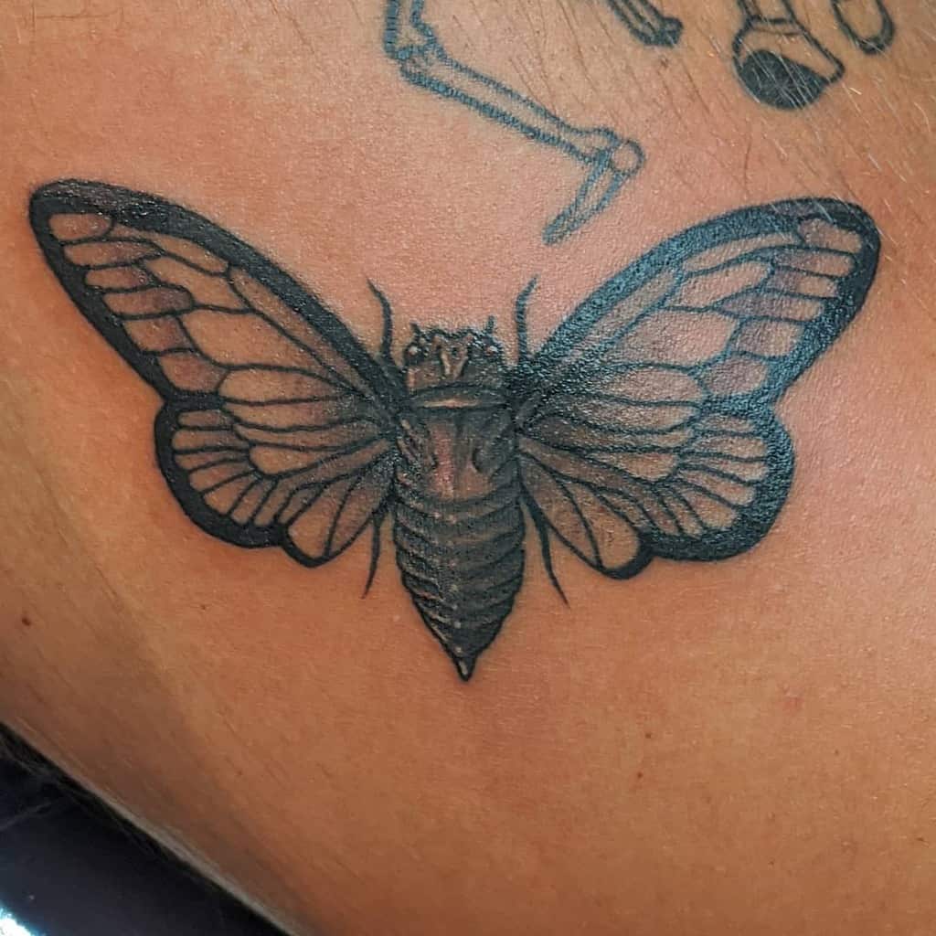 Blackwork cicada tattoo with bold outlines and detailed wing patterns, placed on the upper body
