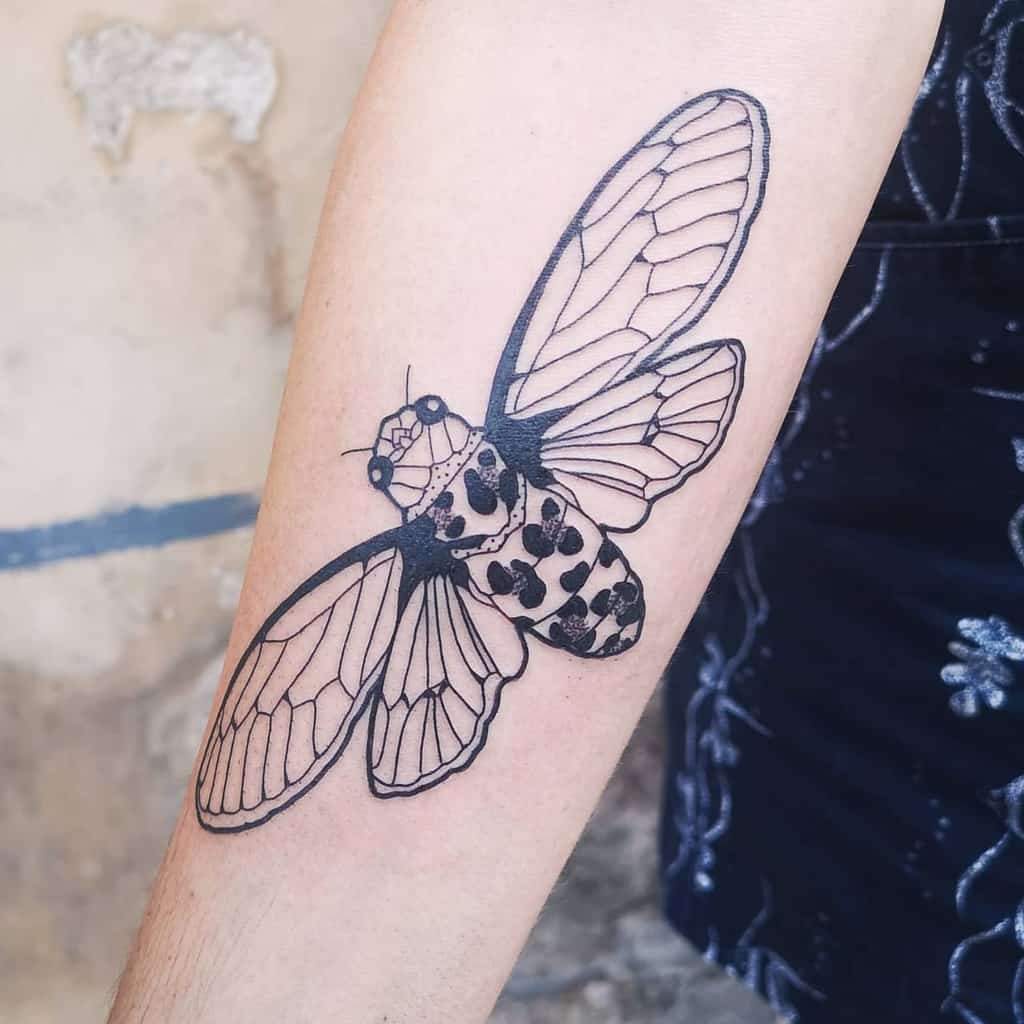 Black line cicada tattoo on a forearm with intricate wing details