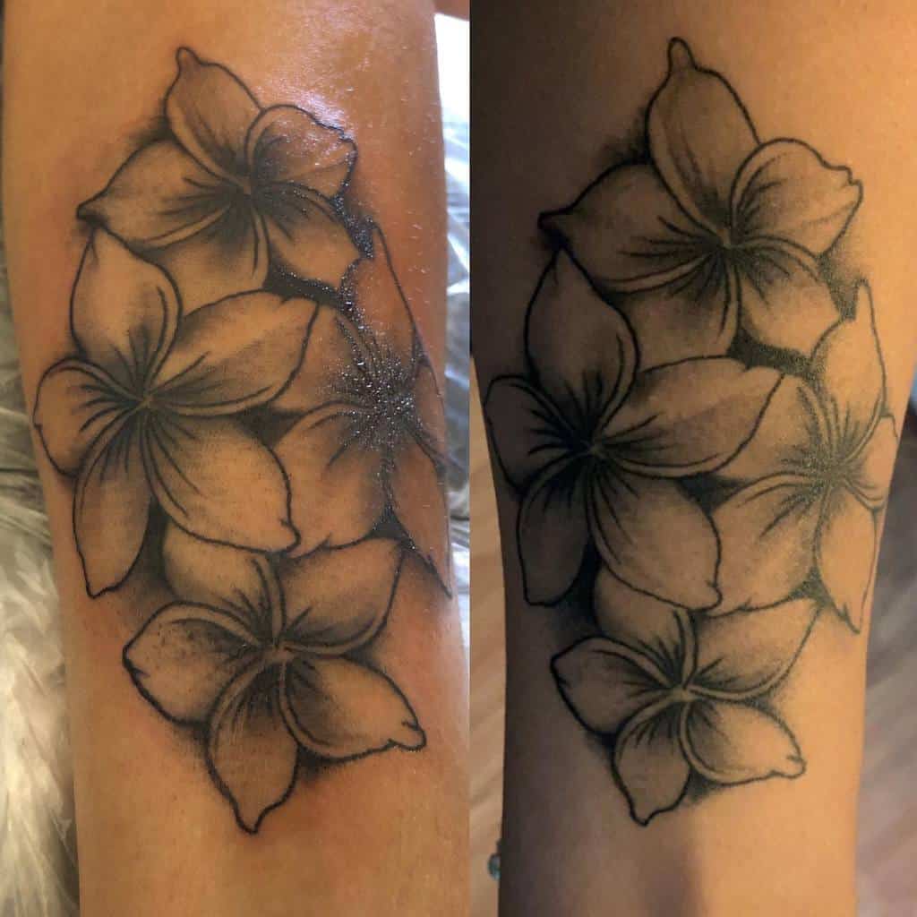 Black and white plumeria flower tattoo on forearm