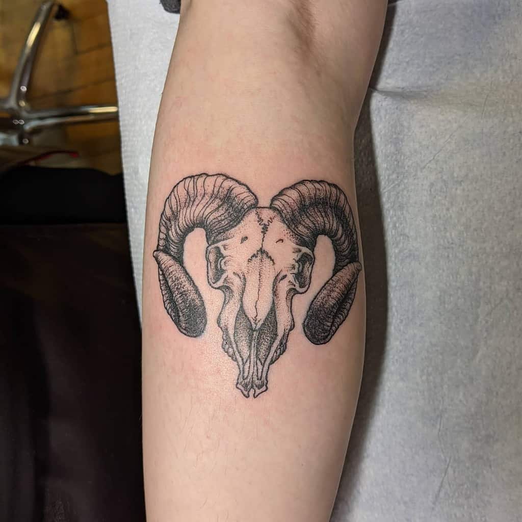 Tattoo of a ram skull with imposing, curved horns on a forearm