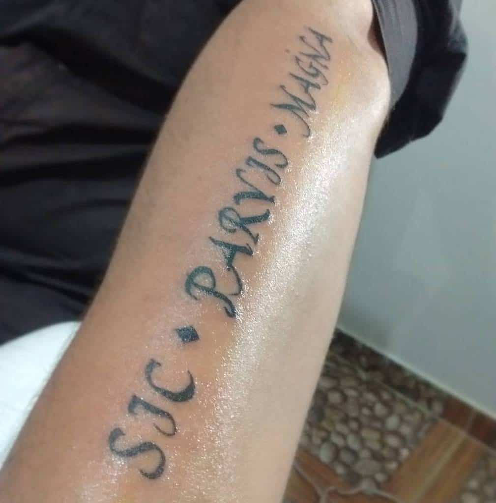 Tattoo on an arm reading "SJC PARUS MAGIA" in black ink, with a slight sheen on the skin