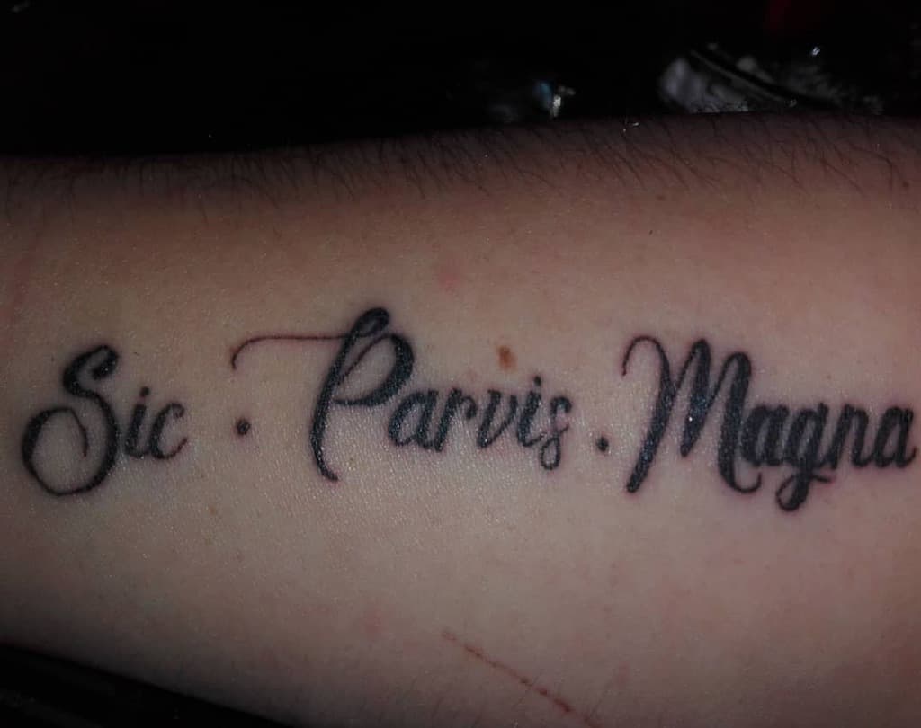 Simple forearm tattoo of 'Sic Parvis Magna' in elegant cursive script with dot separators between the words