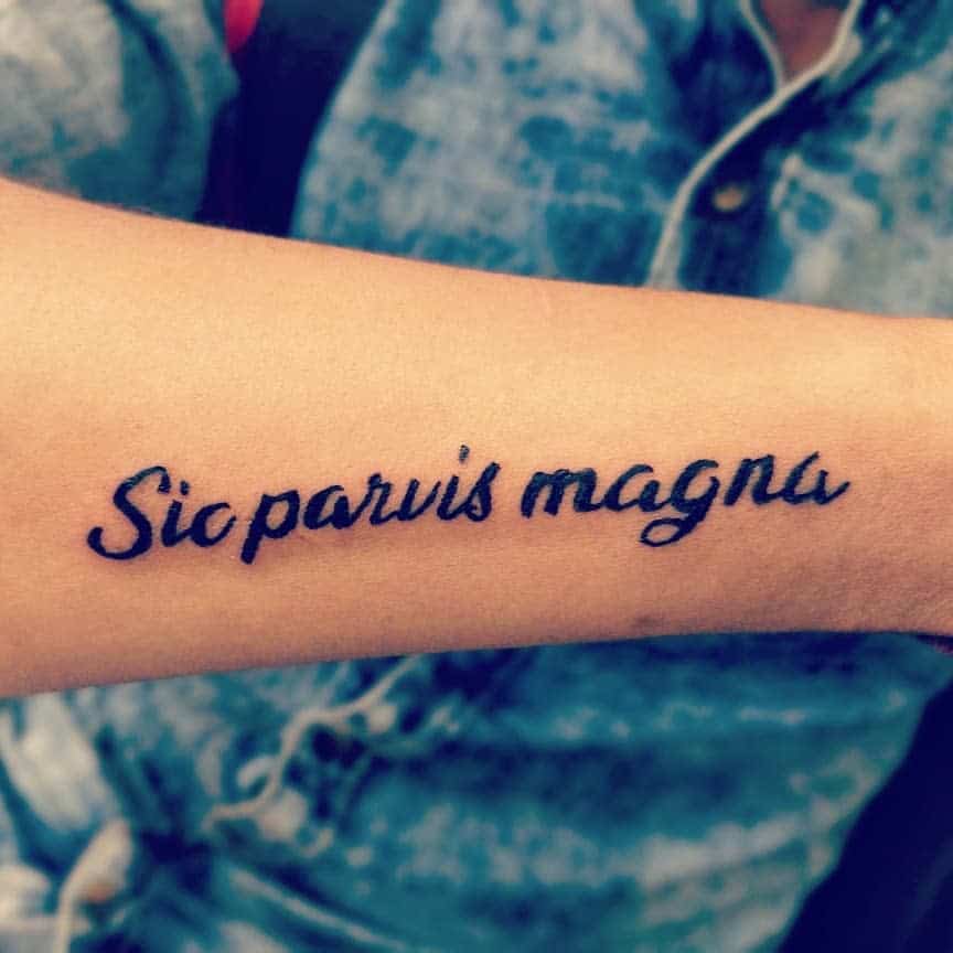 Tattoo on an arm with the phrase "Sic parvis magna" in cursive script